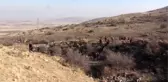 Bubi Dağı'na tırmanan öğretmenler halay çekip enerji depoladı