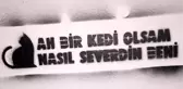 En güzel kamyon arkası yazıları ve en güzel duvar yazıları! Etkileyici duvar yazıları! Komik kamyon arkası yazıları