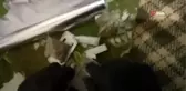 Niğde'de Uyuşturucu operasyonu: 3 kişi gözaltına alındı