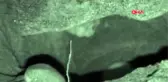 Antalya caretta caretta yuvaları eğlence uğruna tahrip ediliyor
