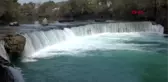 Antalya papağanlar, manavgat şelalesi'nin maskotu oldu