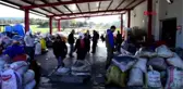 Muğla zeytinyağının 'feriştah'ı