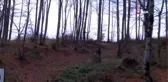 Ordu'daki seri katil, kurbanları ile pazarlık yapıp, geceleri katletmiş