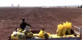 GAP çiftçisinin hububat ekim telaşı - ŞANLIURFA