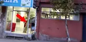 Kahramanmaraşlı esnaf, ocağına incir ağacı dikti