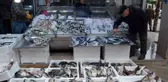 Sinop'ta balık tezgahları şenlendi