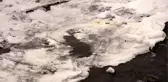 Kars'ta kar yağışı ve soğuk hava etkili oldu