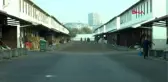 Spor milyonluk safkanlar, binlerce kişiye istihdam sağlıyor - 2
