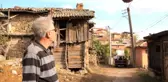 Profesör leylek yuvalarını temizledi