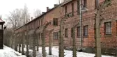 Amazon, Nazilerin ölüm kampı Auschwitz'in görüntülerini içeren Noel süslerini satıştan kaldırdı