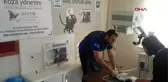 Osmaniye ayağı kırılan kedi tedavi edildi