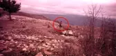 Define ararken fotokapana takılan defineciler suçüstü yakalandı