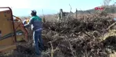 Çalı, çırpı ve dallardan organik gübre üretimi