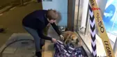 Karabük-karabük'te esnaf, sokak köpeğini battaniye ile ısıttı