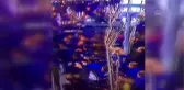 Silahlı kavgayla ilgili 5 şüpheli tutuklandı