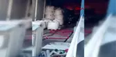 Ordu fındık fabrikasında yangın