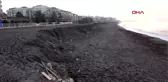Düzce akçakoca'da deniz kumları çekti
