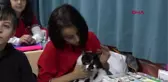 Kayseri müdürün sahiplendiği kedi, öğrencilerin neşesi oldu