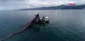 Trabzon hamsi avcılığı sınırlansın talebi