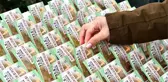 Milli Piyango'nun büyük ikramiye çekilişi 20.00-21.00 saatleri arasında yapılacak