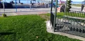Yavru keçisine bebek gibi bakıyor