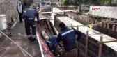 Muğla ünlü şarkıcı neco'nun su kesintisi isyanı