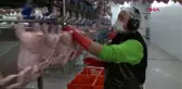Ünlü kalp cerrahından gezen tavuk açıklaması; dışkısını yiyor, salmonella bulaşma ihtimali yüksek.