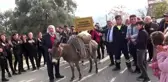 Yeni kütüphanenin kitaplarını eşekle taşıdılar