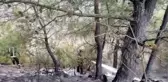 Ormanlık alanda çıkan yangına müdahale ediliyor