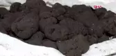 Van 80 kilo trüf mantarı, ihale ile satışa çıkarıldı
