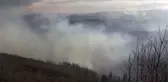 Trabzon'da örtü yangınları (4)