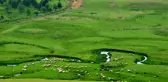 Arap turistlerin Karadeniz'deki yatırımları giderek artıyor