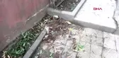 Cam silerken üçüncü kattan düştü