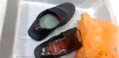 Ürdün'de ayakkabılara gizlenmiş 8 nadir kuş bulundu