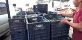 5 bin yıllık taş baskı geleneği kazdağları'nda sürüyor