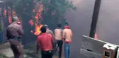 Şili'de orman yangınının sabotaj olduğu iddiası