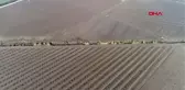 Adana'da tarım arazileri su altında