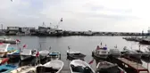 Tekirdağ'lı balıkçıların yeni yılda umudu 