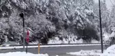 Bolu Dağı'nda kar yağışı devam ediyor