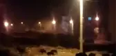 Aç kalan domuzlar mahalleye indi