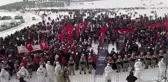 Çam ormanlarının 