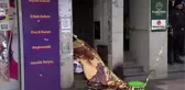 Çemberlitaş'ta ceset bulundu