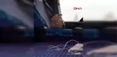 Kahramanmaraş-ulukışla'da yaralı bulduğu baykuşu, ereğli'de polise teslim etti