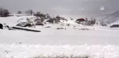 Besiciler, hayvanlarını sırtlarında taşıdıkları otlarla besliyor