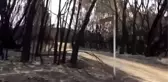 Avustralya'daki yangınlarda binlerce kişi evlerini terk etti