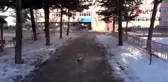 Afyon kar topu oynarken vücutlarında yanık oluşan öğrencilerin sayısı 9'a yükseldi