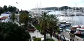 Bodrum Hamsi Festivali'nde 2,5 ton hamsi dağıtıldı