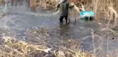 Sazlıklar arasında mahsur kalan balıkları kasalarla avladılar