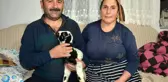 Kuzuyu evlerinde anne şefkatiyle büyütüyorlar