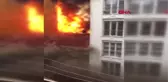 Esenyurt'ta yangında mahsur kalan çocukları ağaca tırmanıp kurtardılar
